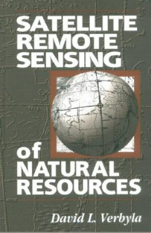 Carte Satellite Remote Sensing of Natural Resources David L. Verbyla