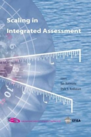 Carte Scaling in Integrated Assessment D. S. Rothman