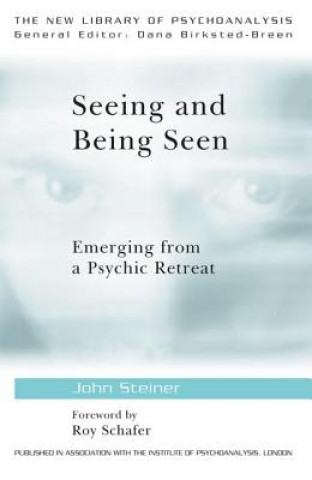 Kniha Seeing and Being Seen John Steiner