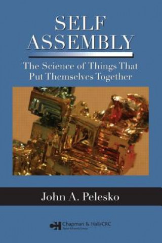 Kniha Self Assembly John A. Pelesko