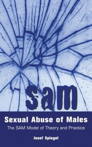 Buch Sexual Abuse of Males Josef Spiegel