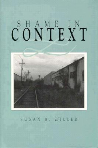 Książka Shame in Context Susan B. Miller