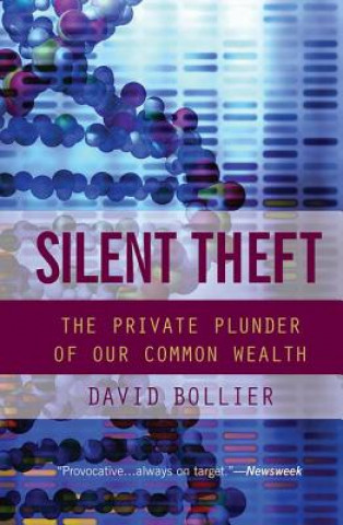 Könyv Silent Theft David Bollier