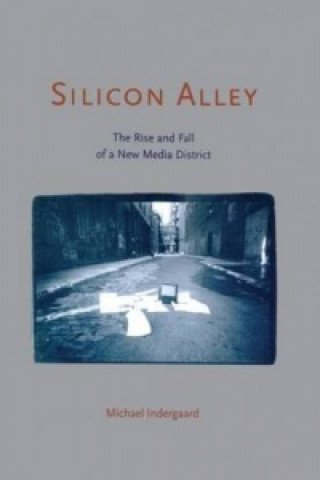 Livre Silicon Alley Indergaard