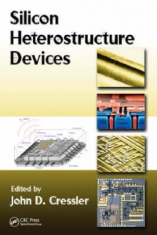 Kniha Silicon Heterostructure Devices John D. Cressler