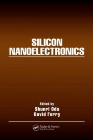 Boek Silicon Nanoelectronics Shunri Oda
