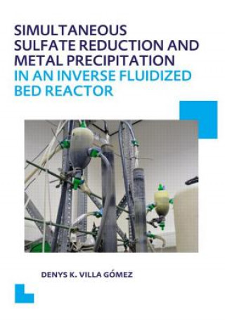 Kniha Simultaneous Sulfate Reduction and Metal Precipitation in an Inverse Fluidized Bed Reactor Denys Kristalia Villa Gomez
