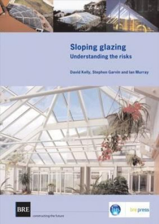 Kniha Sloping Glazing I Murray