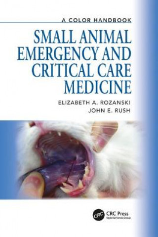 Könyv Small Animal Emergency and Critical Care Medicine John E. Rush