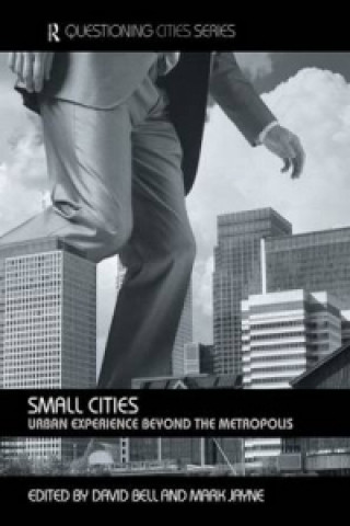 Buch Small Cities Mark Jayne