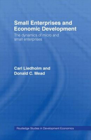 Carte Small Enterprises and Economic Development Donald C. Mead