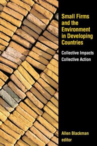 Carte Small Firms and the Environment in Developing Countries 