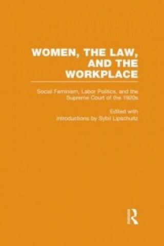 Könyv Social Feminism, Labor Politics, and the Supreme Court of the 1920s 