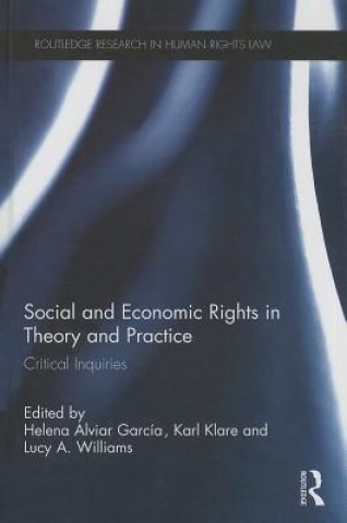 Kniha Social and Economic Rights in Theory and Practice 