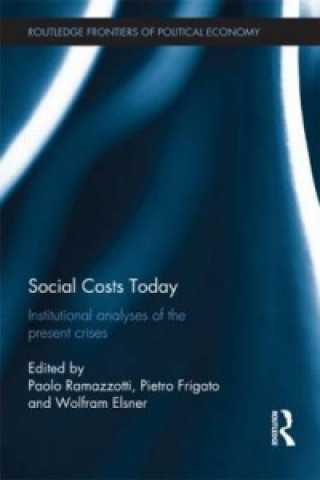 Buch Social Costs Today 