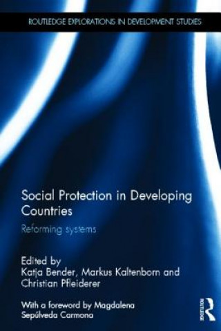 Knjiga Social Protection in Developing Countries Christian Pfleiderer