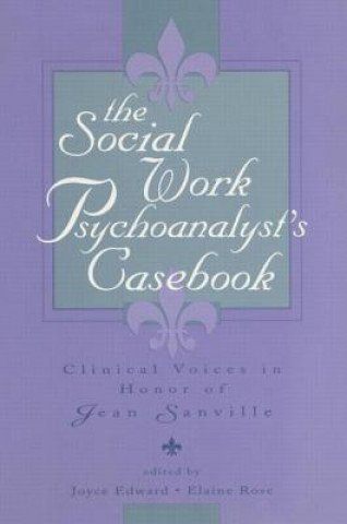 Kniha Social Work Psychoanalyst's Casebook 
