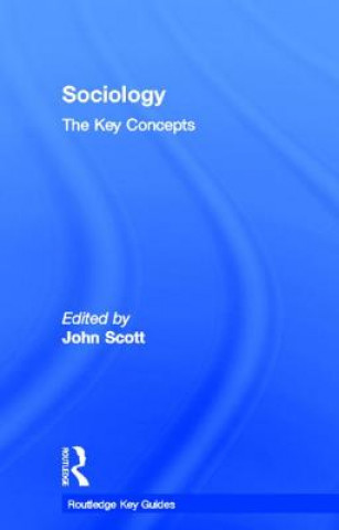 Kniha Sociology: The Key Concepts 