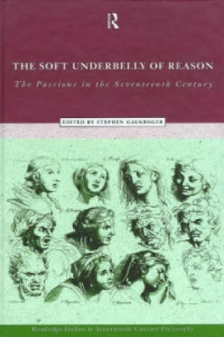 Kniha Soft Underbelly of Reason Stephen Gaukroger