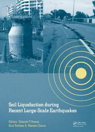 Könyv Soil Liquefaction during Recent Large-Scale Earthquakes 