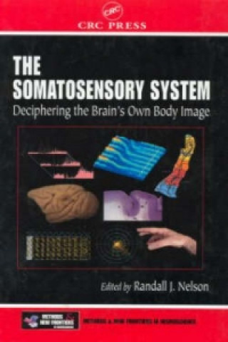 Kniha Somatosensory System 