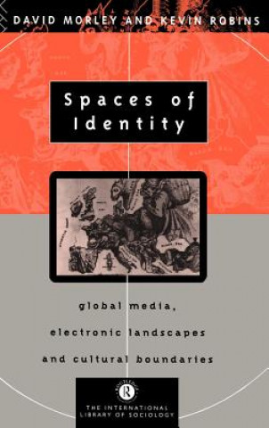 Kniha Spaces of Identity David Morley