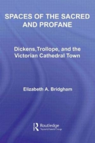Книга Spaces of the Sacred and Profane Elizabeth A. Bridgham