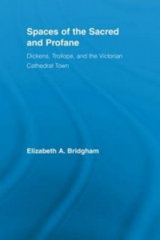 Книга Spaces of the Sacred and Profane Elizabeth Bridgham