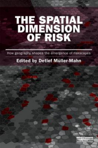Kniha Spatial Dimension of Risk 