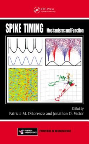 Kniha Spike Timing 