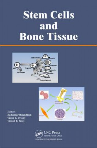 Carte Stem Cells and Bone Tissue 