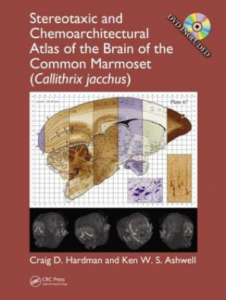 Kniha Stereotaxic and Chemoarchitectural Atlas of the Brain of the Common Marmoset (Callithrix jacchus) Ken W.S. Ashwell