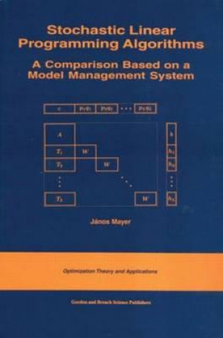 Kniha Stochastic Linear Programming Algorithms Janos Mayer