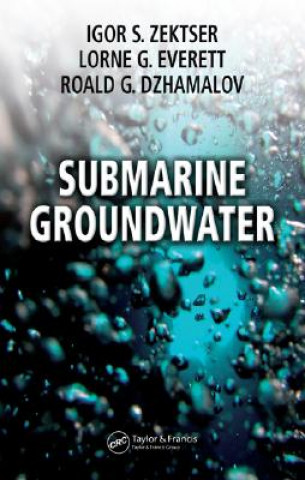 Buch Submarine Groundwater Igor S. Zektser