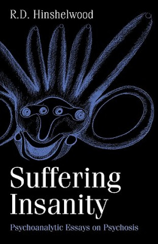 Könyv Suffering Insanity R. D. Hinshelwood