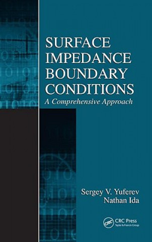 Książka Surface Impedance Boundary Conditions Nathan Ida