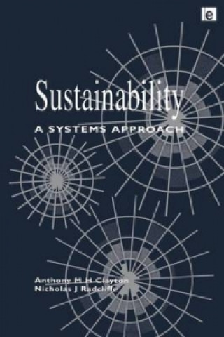 Kniha Sustainability Nicholas Radcliffe