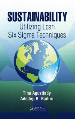 Buch Sustainability Adedeji B. Badiru