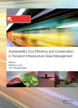Könyv Sustainability, Eco-efficiency, and Conservation in Transportation Infrastructure Asset Management 