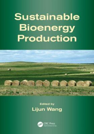 Book Sustainable Bioenergy Production 