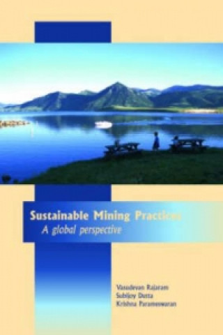 Könyv Sustainable Mining Practices 