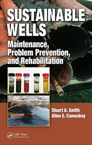 Kniha Sustainable Wells Allen E. Comeskey
