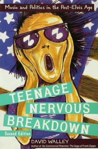 Kniha Teenage Nervous Breakdown David Walley