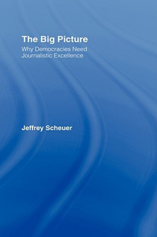 Kniha Big Picture Jeffrey Scheuer
