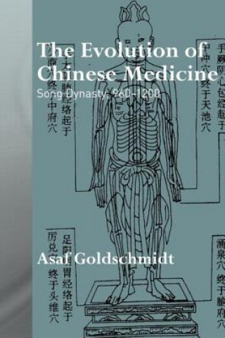 Buch Evolution of Chinese Medicine Asaf Goldschmidt