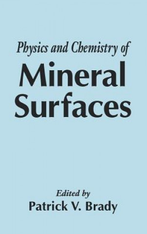 Buch Physics and Chemistry of Mineral Surfaces 