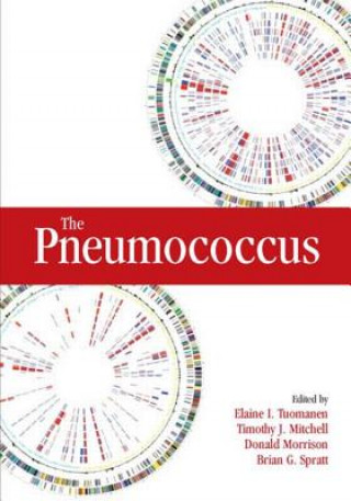 Knjiga Pneumococcus Elaine I. Tuomanen