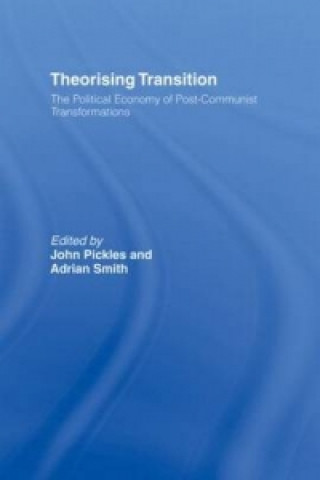 Buch Theorizing Transition 