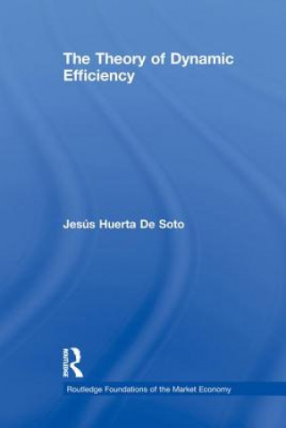 Buch Theory of Dynamic Efficiency Jesus Huerta de Soto