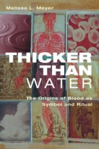 Knjiga Thicker Than Water Melissa L. Meyer